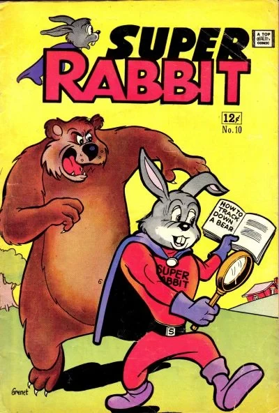 Cover of Scare at the Shore!