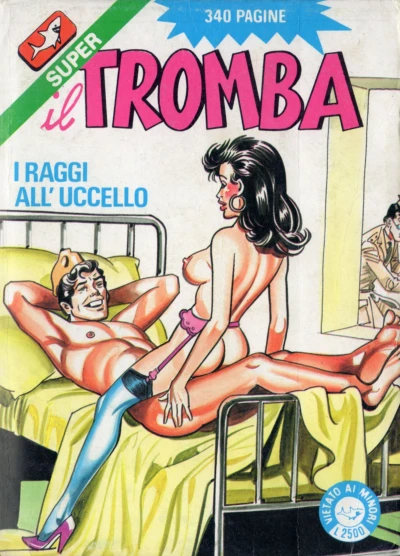 Cover of I raggi all'uccello