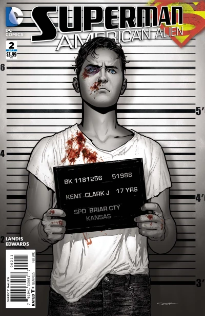 Cover of Hawk; Revelations