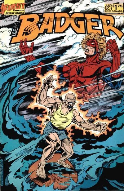 Cover of Surfin' USA!