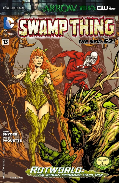 Cover of Swamp Thing (Volume 5)
