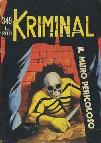 Cover of Il muro pericoloso