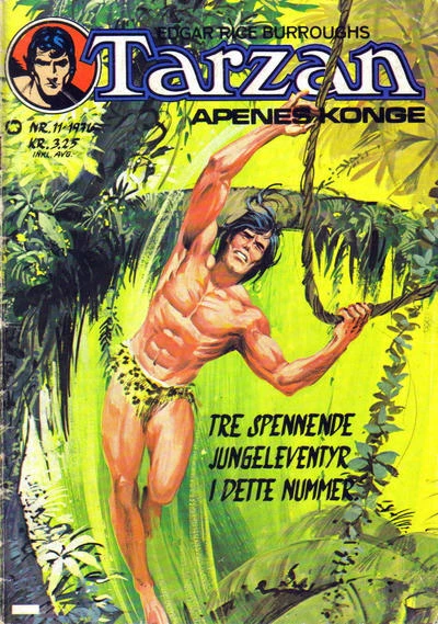Cover of Issue #197611