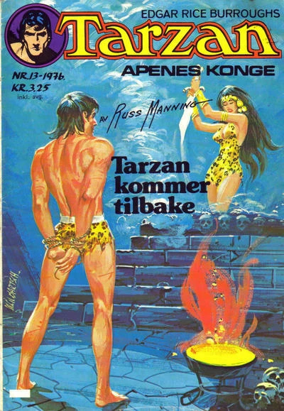 Cover of Issue #197613