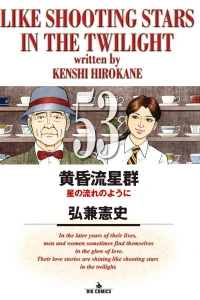 Hoshi no Nagare no Yō ni