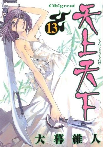 Cover of Vol. 13