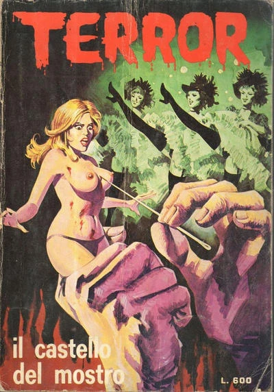 Cover of il castello del mostro