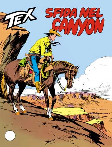 Cover of Sfida nel Canyon