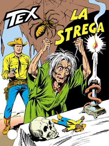 Cover of La Strega