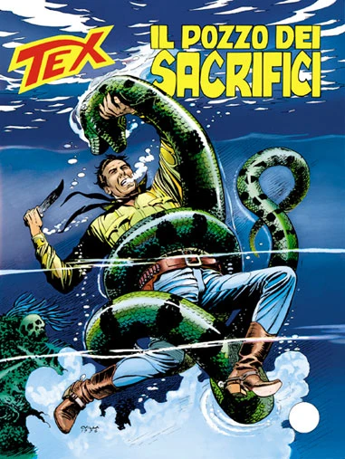 Cover of Il Pozzo dei Sacrifici