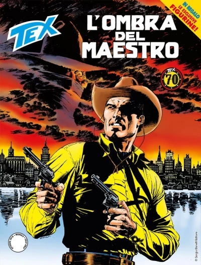 Cover of L'ombra del Maestro