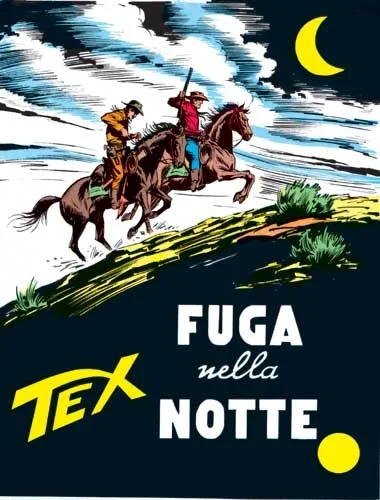 Cover of Fuga nella Notte