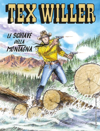 Cover of Le schiave della montagna