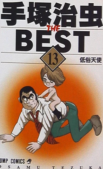 Cover of Vol. 13