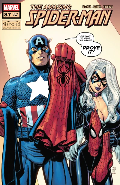 Cover of Beyond Chapter Thirteen