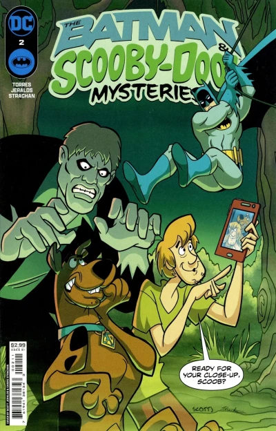 Cover of The Secret of Slaughter Swamp