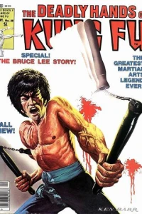 The Bruce Lee Story