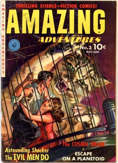 Cover of The Cosmic Brain