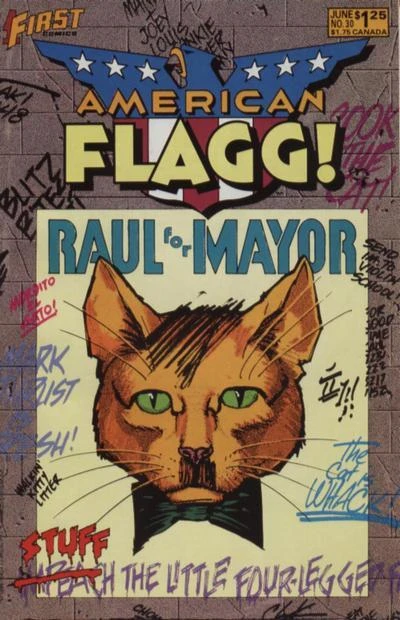 Cover of The Fire This Time! Conclusion