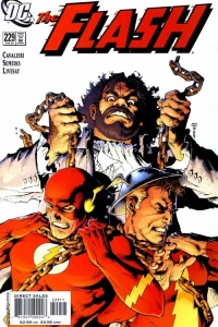 The Flash (Volume 2)