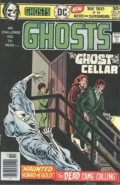 Cover of The Ghost in the Cellar