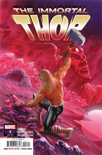 Cover of The Riddle of Raidho