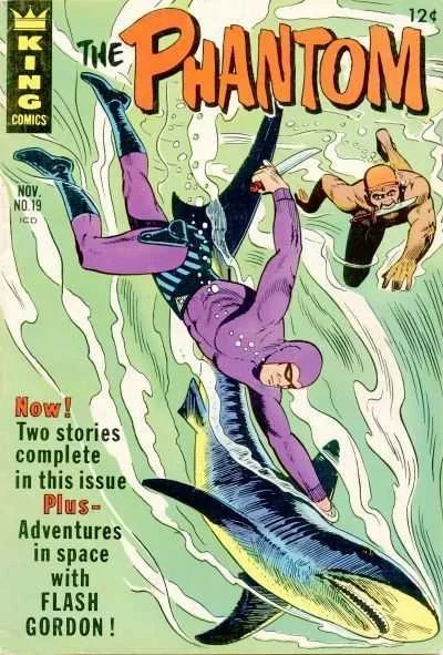 Cover of Issue #19