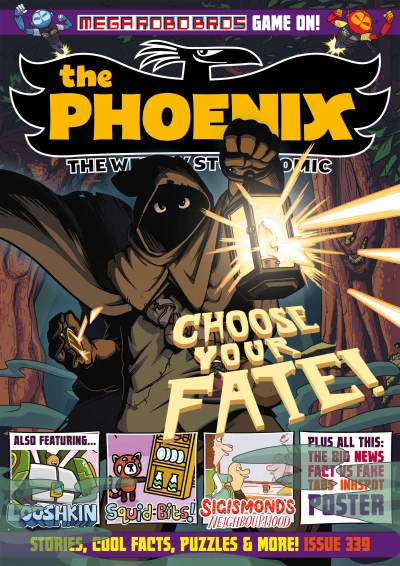 Cover of Issue #339-340
