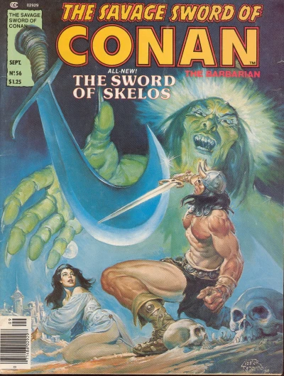 Cover of The Sword of Skelos