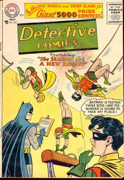 Cover of The Search for a New Robin
