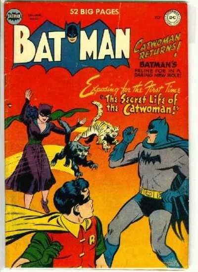 Cover of The Secret Life Of The Catwoman!