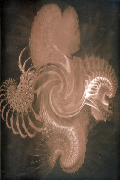 Cover of Vertigo Tarot