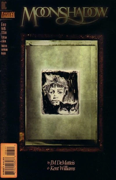 Cover of Through the Window