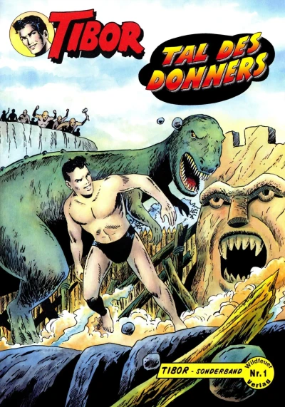 Cover of Tal des Donners