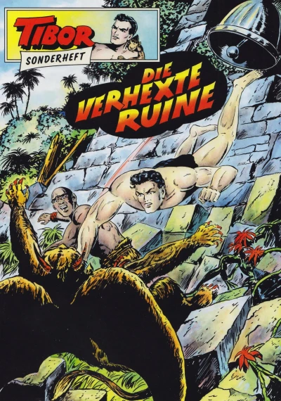 Cover of Die verhexte Ruine
