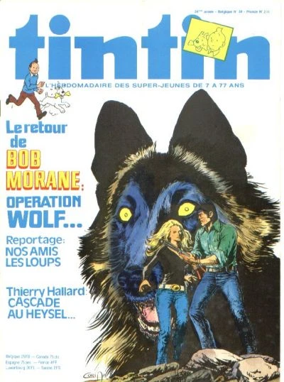 Cover of Volume #211