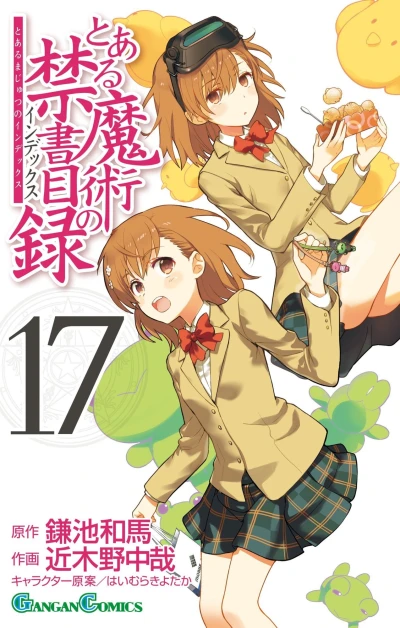 Cover of Vol. 17