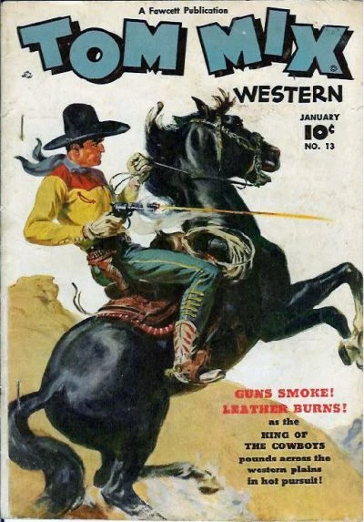 Cover of Issue #13