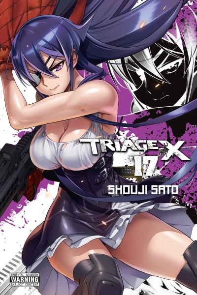 Cover of Vol. 17