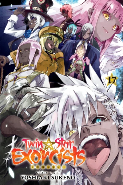Cover of Vol. 17
