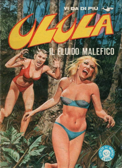Cover of Il Fluido Malefico