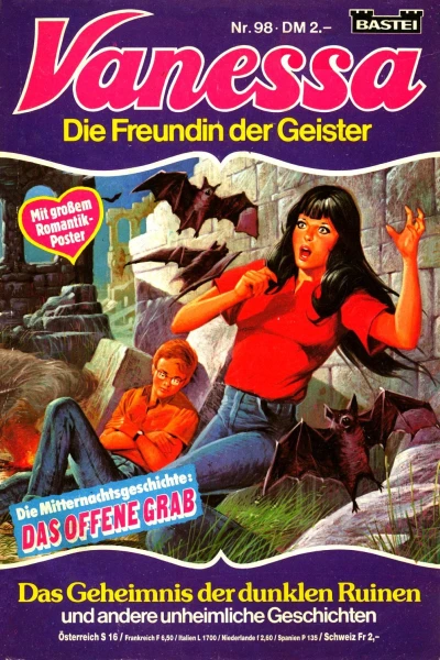 Cover of Das Geheimnis der dunklen Ruinen