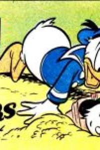 Donald Duck and the Buccaneers