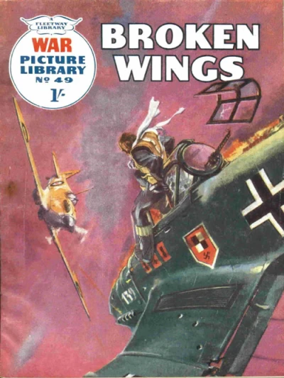 Cover of Broken Wings
