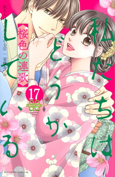 Cover of Vol. 17