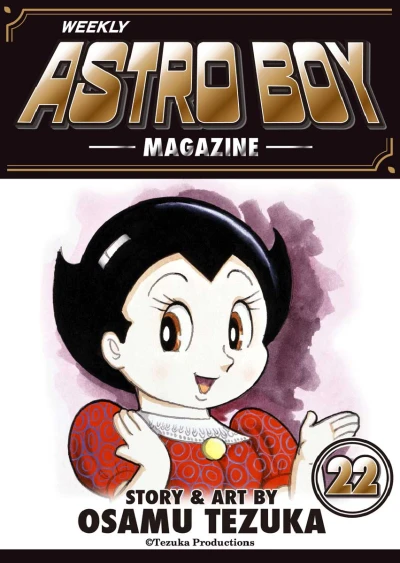 Cover of Vol. 22