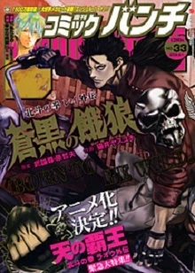 Cover of No. 33, 2008