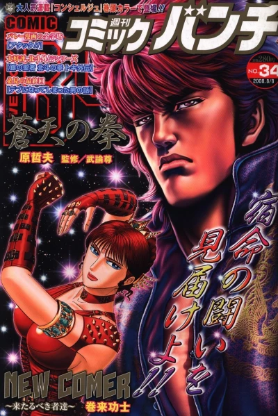 Cover of No. 34, 2008