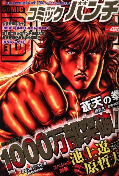 Cover of No. 45, 2008