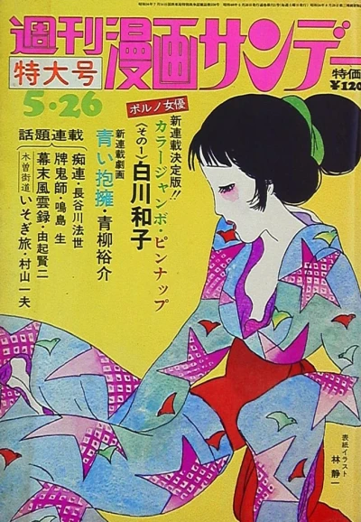 Cover of No. 22, 1973